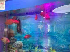 -雅悦齿科(顾村公园店)