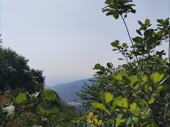 -香山公园