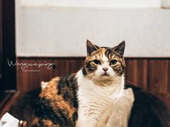 -隅cafe(傅厚岗店)