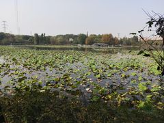 -张公山寨景区