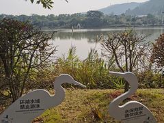 -美的鹭湖森林度假区