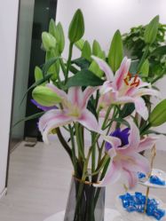 点击看大图 -SKIN79皮肤管理中心