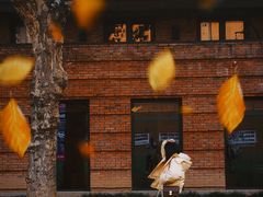 -西安电影制片厂