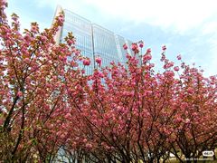 -同济大学(嘉定校区)