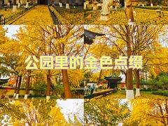 -郑和公园