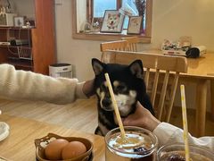 -柴の食堂·日式家庭料理·熊之肆(大学路店)