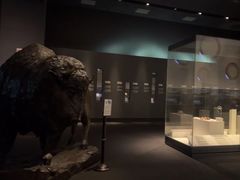 -布洛克德克萨斯国家历史博物馆