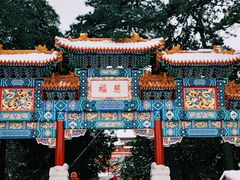 -颐和园