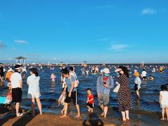 -碧海金沙
