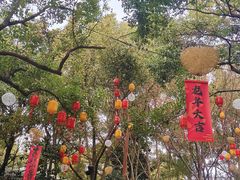 -天目湖山水园