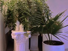 -伊斯坦布尔土耳其清真咖啡餐厅