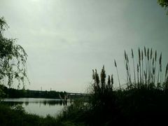 -白鹭湾湿地公园