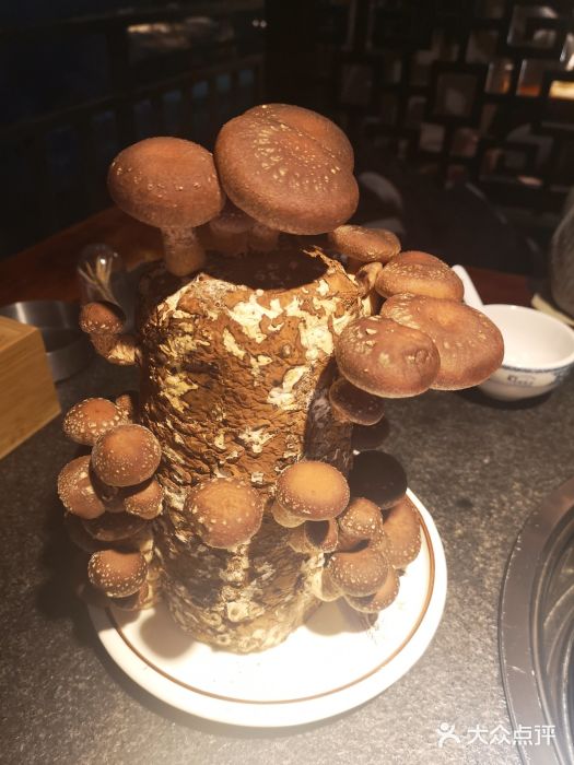 先机®·泉水鸡汤(七星岗店)图片
