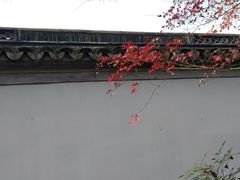-秋霞圃