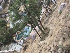 -大盘山温泉山庄