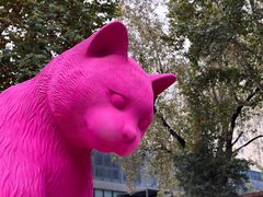 -西安电影制片厂