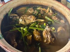 -霞姐屯昌枫木香草鸭店(海螺店)