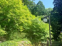 -三千院