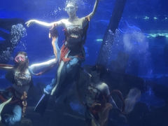 -江和美海洋公园