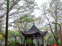 -重庆彩云湖湿地公园