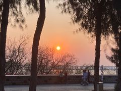 -宝安西湾红树林湿地公园