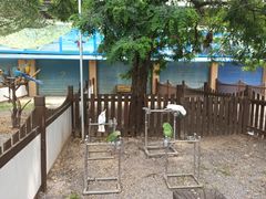 -秦皇岛野生动物园