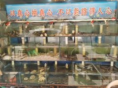 水产区-来之顺海鲜菜馆·青岛菜(栈桥店)