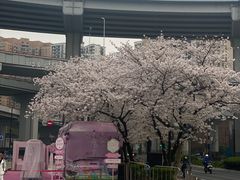 -上海黄浦旅游集散站售票处