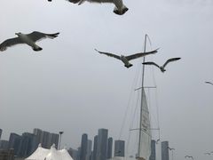 -中国航空博物馆