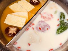 双拼锅底-湊湊火锅·茶憩(新中关购物中心店)