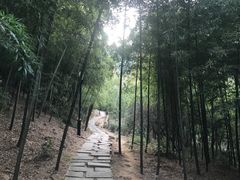-宝界山林公园