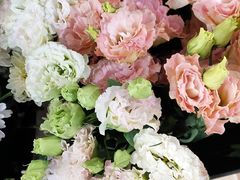 -ChaKo Flora ·茶子花艺 (市北店)