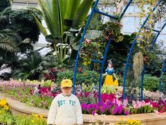 -石家庄市植物园
