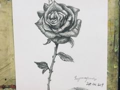 -黑骏画室·深圳美术中高考黄埔军校