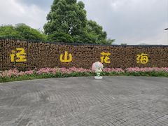 -径山花海
