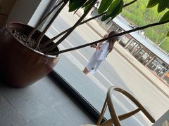 -和雅集素斋(景区店)