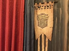 -雪灵魔法世界SHELLY’S TAROT(大良桂畔里店)