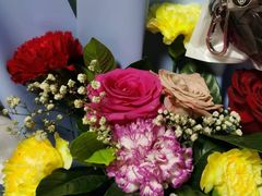 -津乐园(芥园道店)