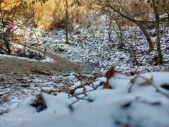 -萍乡武功山风景名胜区
