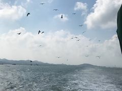 -长岛万鸟岛