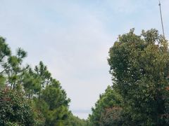 -雨花胜境