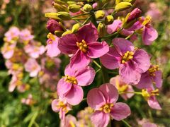 -中国天府农业博览园