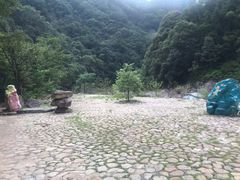 -龙湾潭国家森林公园