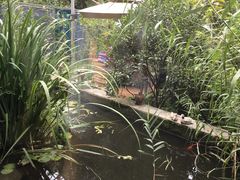 -谷咖啡·鲜花绿植花园餐厅