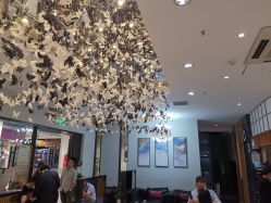 -京世沙龙