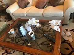 -深圳东部华侨城茵特拉根酒店