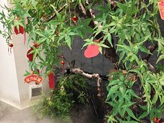 -大榕树下顺德菜(融创茂店)