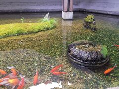 -几荷·恰似故人来(秀水广场店)