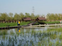 -永定河休闲森林公园