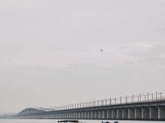 -厦门园林博览苑